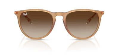 Zonnebrillen  nieuwtjes RAY-BAN RB 4171 681413 Erika Classic 54/18