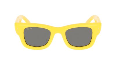 Zonnebrillen  nieuwtjes RAY-BAN RB 4940 683087 Wayfarer puffer 47/23
