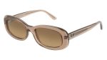 transparent